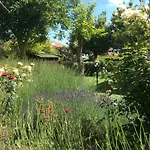 호텔 La Primavera