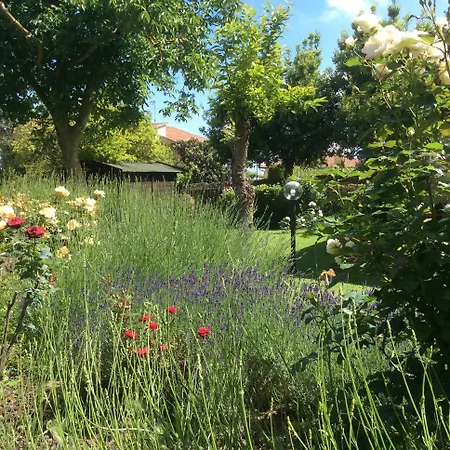 فندق La Primavera