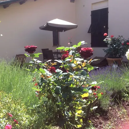 فندق La Primavera فولتيرا