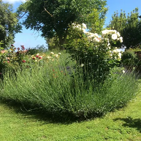 فندق La Primavera فولتيرا